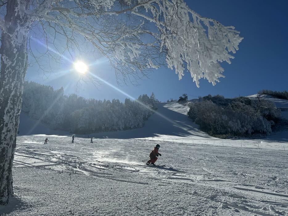 スキーヤーが早速、白銀の世界を滑った熊ノ湯スキー場