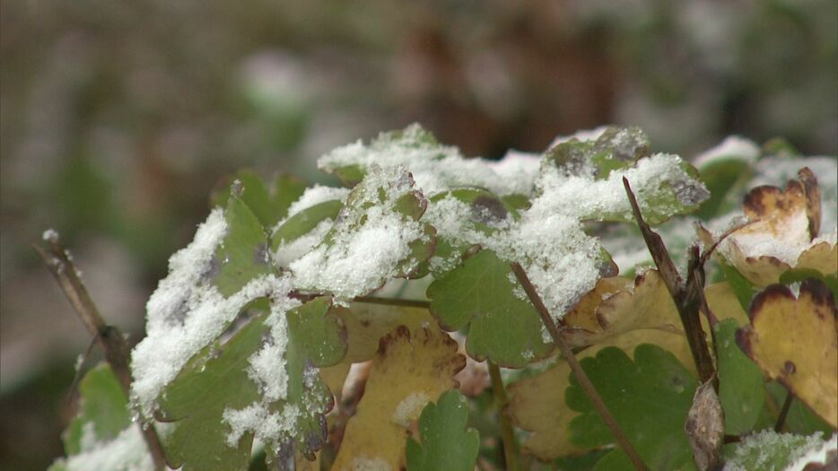 雪雲が広がる北海道内