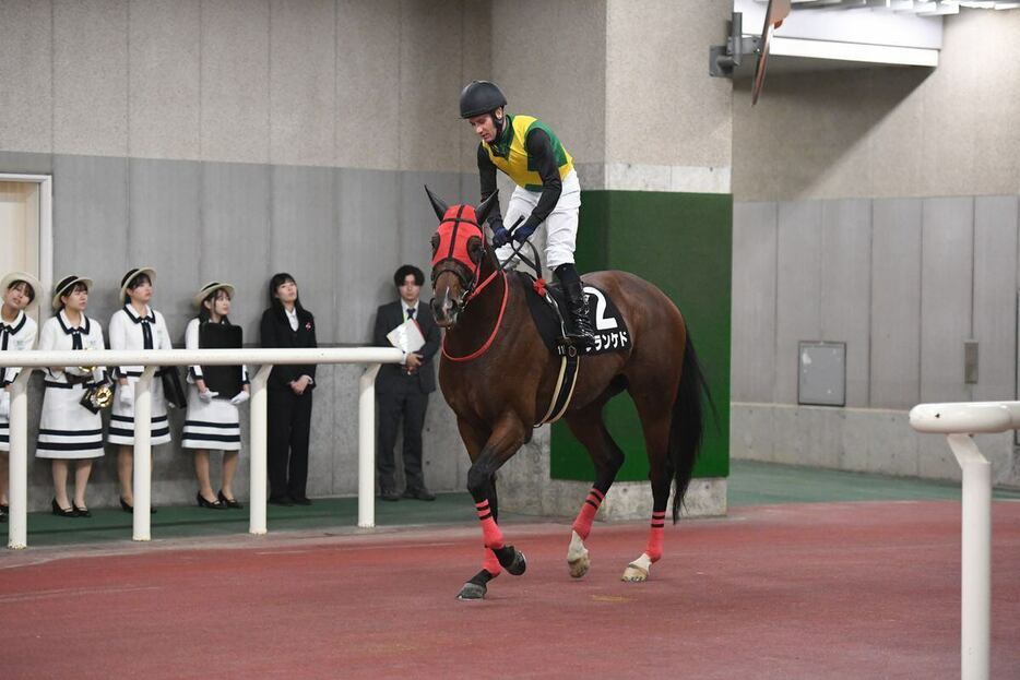 シランケドは２度目の挑戦でＧⅠ初制覇を狙う