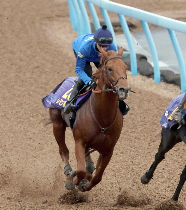 長めから攻めて直線で一杯に追われたレモンポップ。坂井瑠星騎手が栗東から駆け付けた＝美浦トレセン（撮影・塩浦孝明）