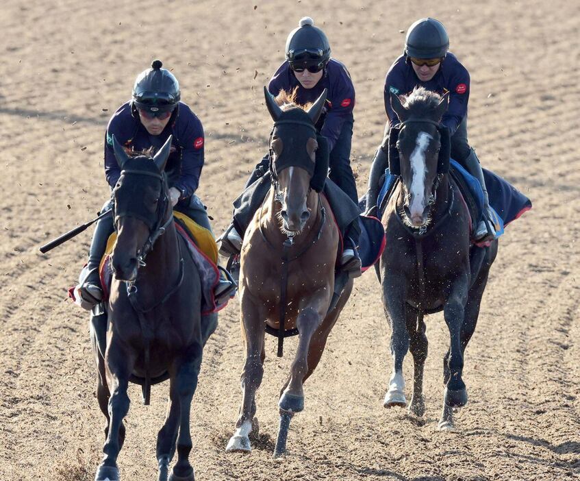 3頭併せで隊列の真ん中から鋭い切れ味で加速したレッドキングリー（中）＝美浦トレセン（撮影・塩浦孝明）