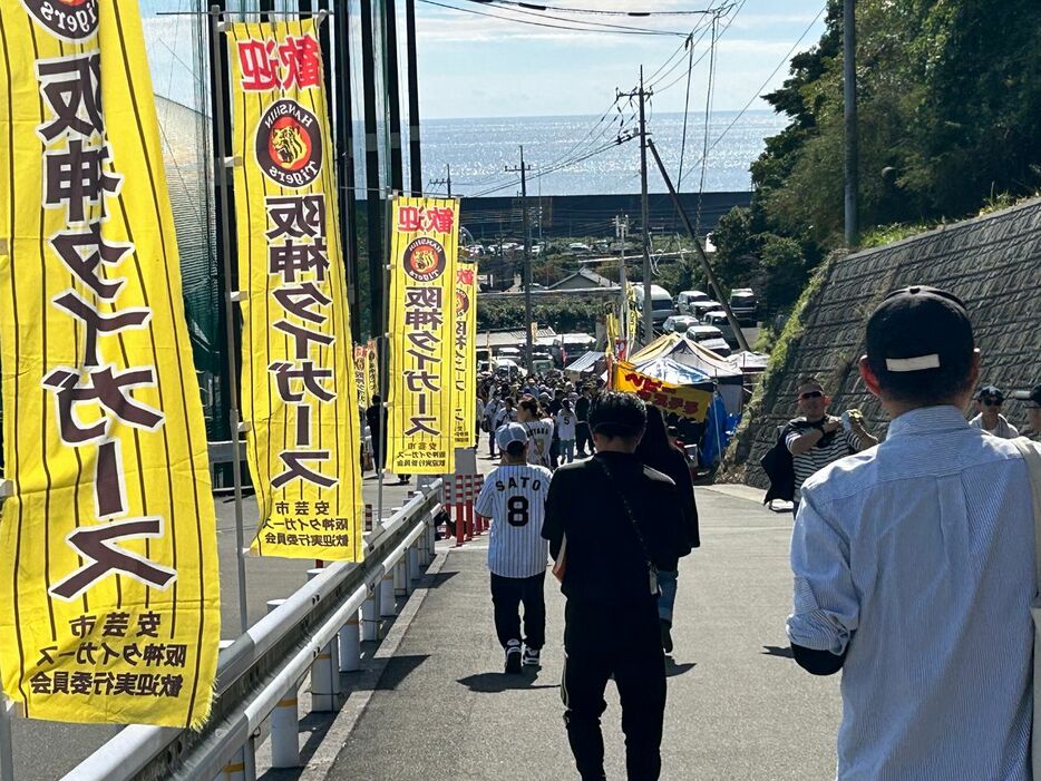 お祭り縁日のような阪神の安芸秋季キャンプ