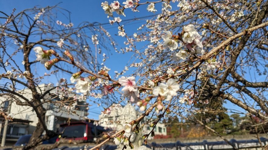 IBC岩手放送