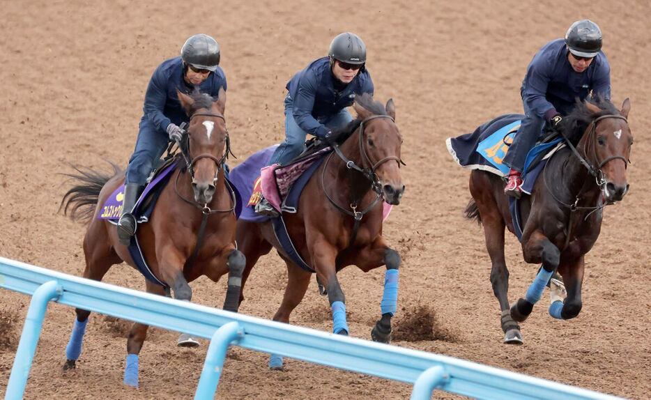 コムストックロード（左）、ルージュリナージュ（中央）、シリウスコルト（右）＝美浦トレセン（撮影・塩浦孝明）