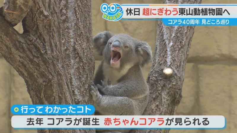 CBCテレビ『チャント！』