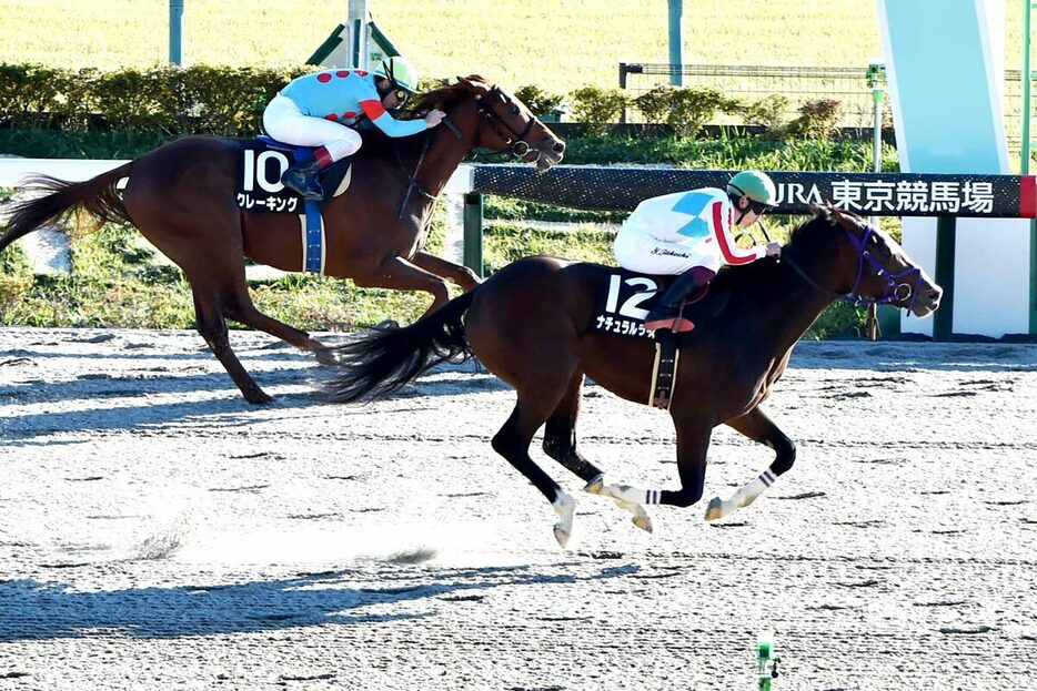 連勝を決めたナチュラルライズ