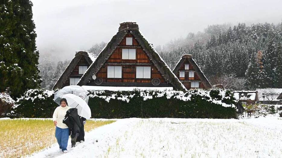 今季初めて雪が降り積もった白川郷合掌造り集落＝２９日午後２時２５分、大野郡白川村荻町