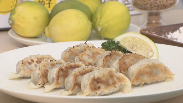 SANUKI LEMON GYOZA（10個入り 1000円）