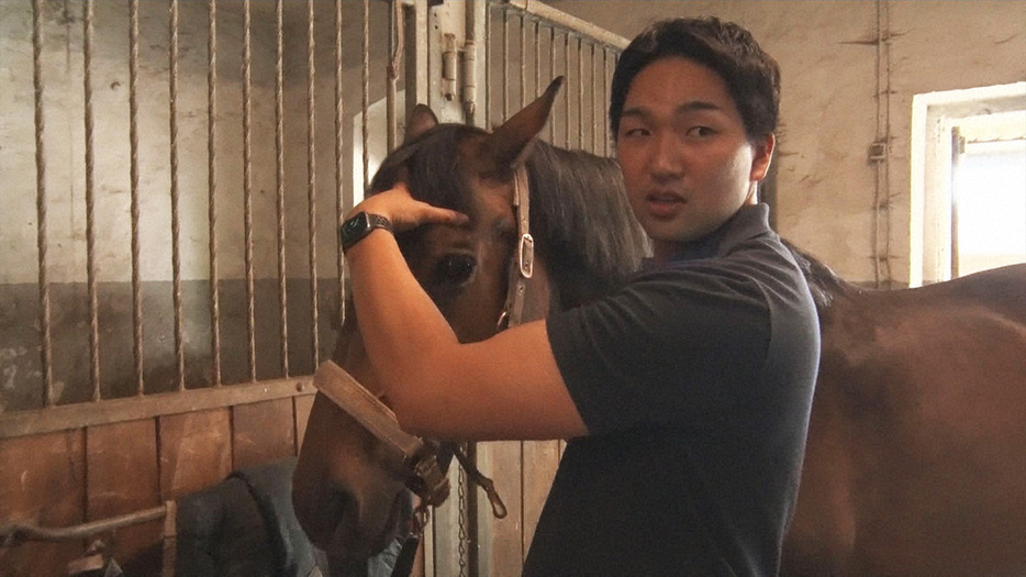 ドイツで馬専門の獣医師をしている佐藤俊介さん（31）