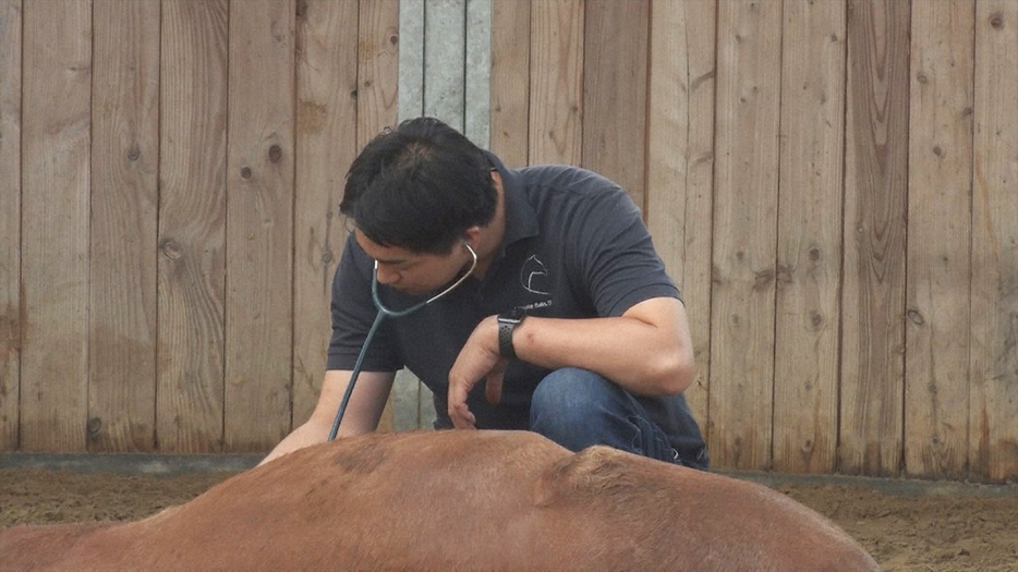 急患の高齢馬の状態を診る俊介さん。時に最も辛い選択を迫られることも…