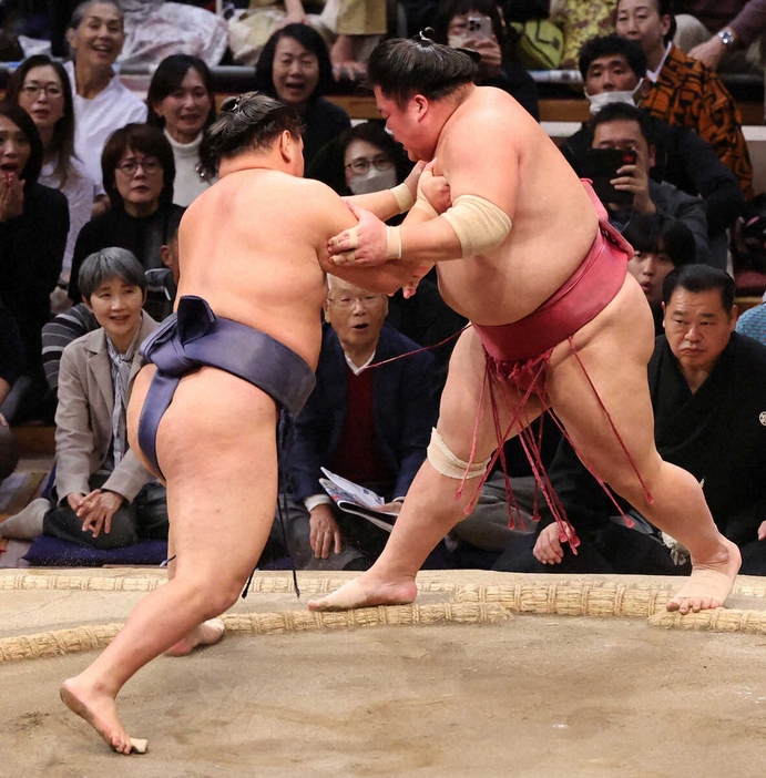 大栄翔（右）を押し出しで下す豊昇龍（撮影・椎名　航）