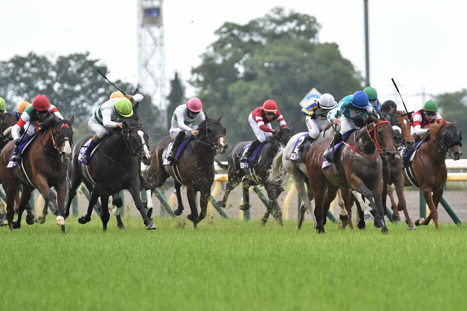 今年の安田記念は香港馬ロマンチックウォリアー（青帽）が勝利したが…