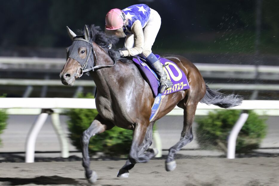 黒潮マイルチャンピオンシップ・グラティアスグーと林謙佑騎手 (C)高知県競馬組合