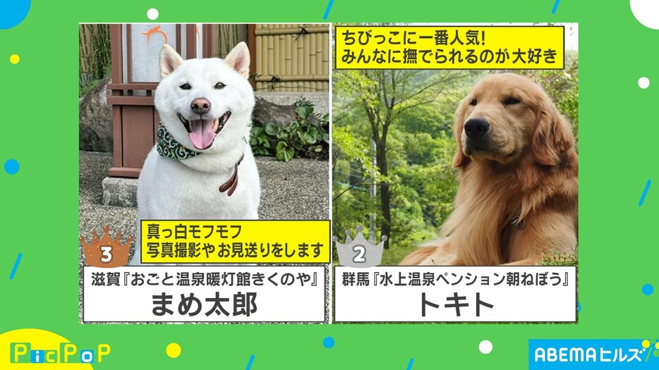 日本一の看板犬はどの子？