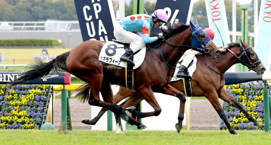 初勝利を飾ったカネラフィーナ（手前）（カメラ・荒牧　徹）