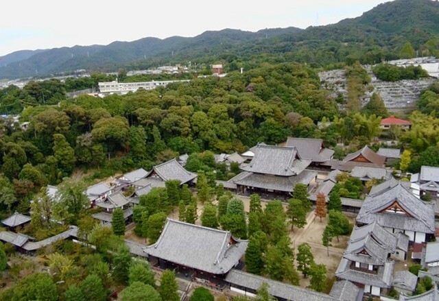 国宝に追加指定されたのは、奥から中央の３棟です（提供：黄檗山大本山萬福寺）