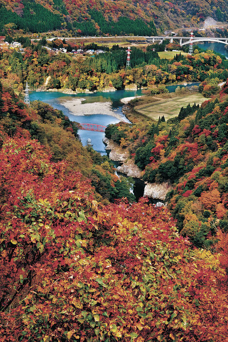 紅葉で彩られた神通峡＝富山市片掛の庵谷峠展望台