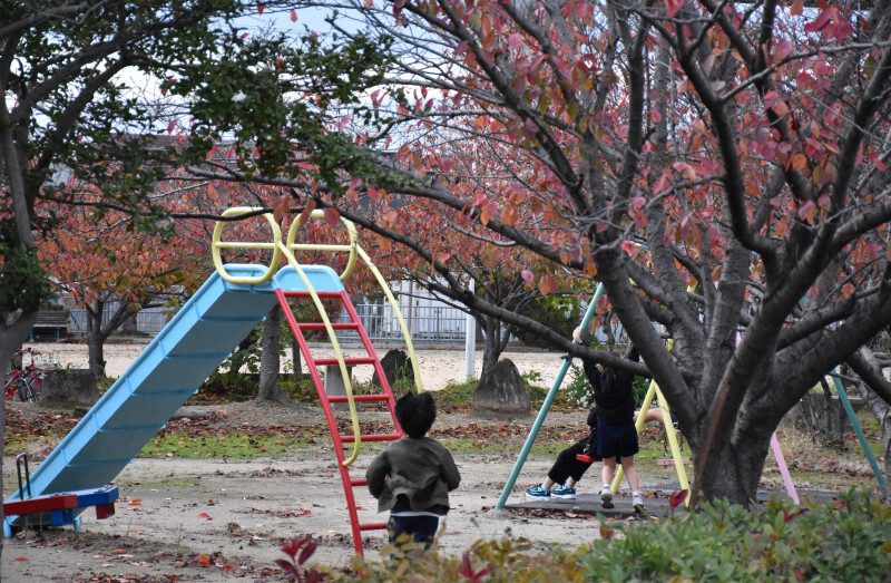 鵜瀬柚希さんが遊んでいた公園で遊ぶ子供たち＝兵庫県加古川市で2024年11月27日午後4時20分、面川美栄撮影