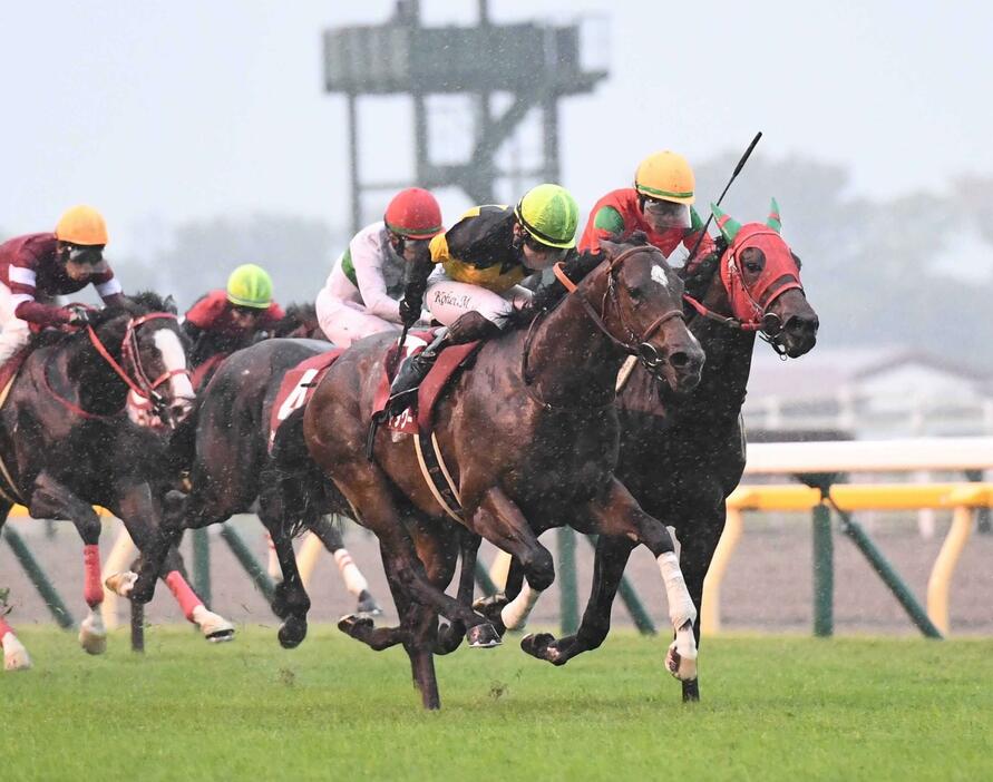 　京王杯２歳Ｓを制したパンジャタワー（中央）＝撮影・園田高夫