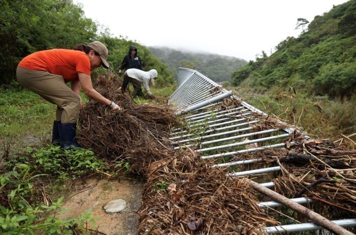 欄干に絡んだ流木などを撤去するボランティアら＝17日午後、国頭村比地（小川昌宏撮影）