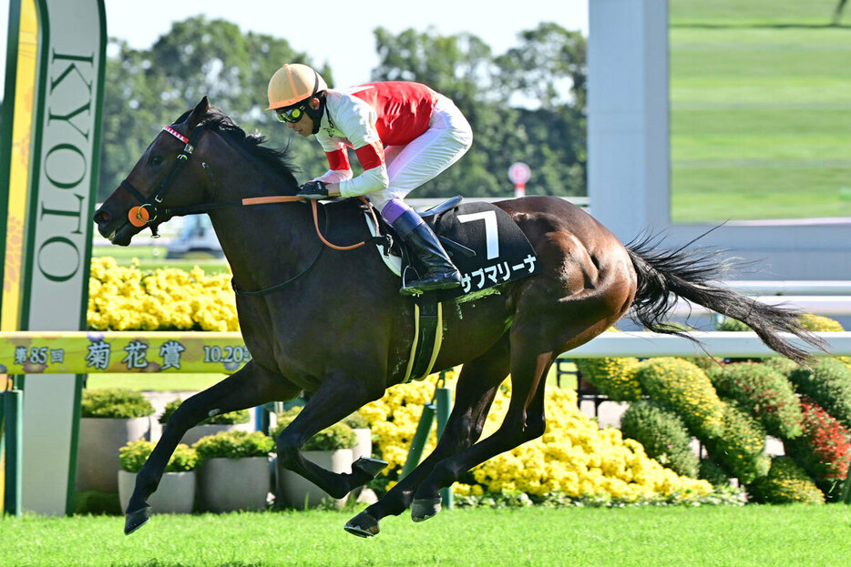 ４戦３勝のサブマリーナは武豊とのコンビでオリオンＳへ