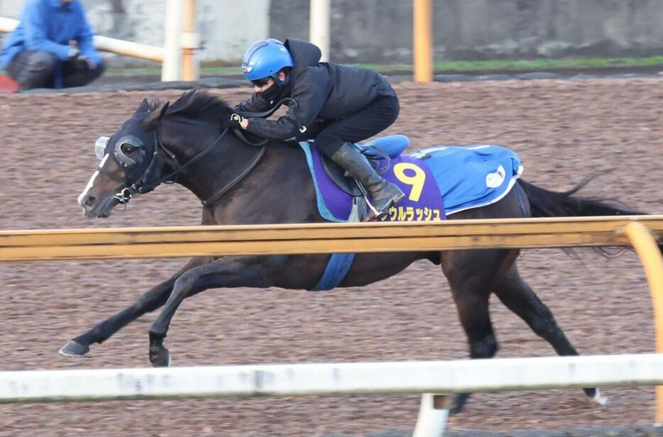 ソウルラッシュ＝栗東トレセン（撮影・安部光翁）