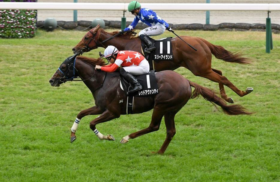 キビタキSを制しオープン入りを決めたレッドアヴァンティ＝16日、福島競馬場（撮影・菅原和彦）