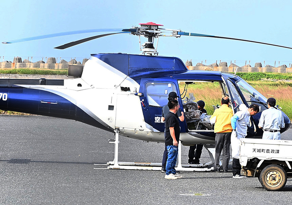 航空防除のため、ヘリコプターへの誘殺板積み込みなど準備を進める関係者＝6日午前9時半ごろ、鹿児島県の徳之島空港