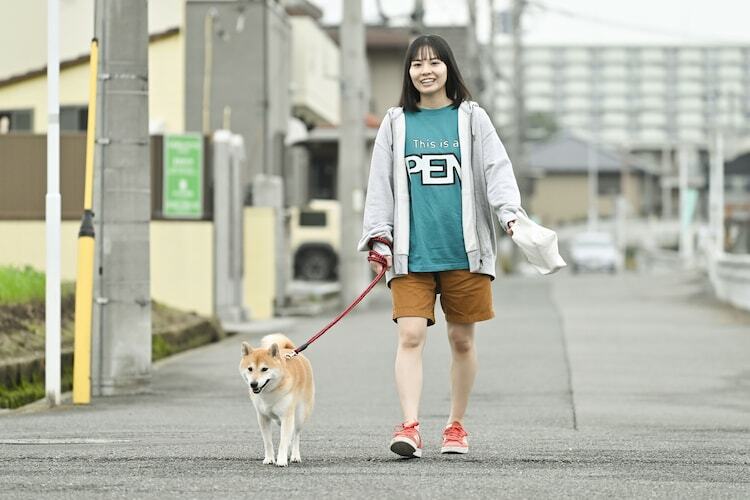 ドラマ「今日のさんぽんた」より。