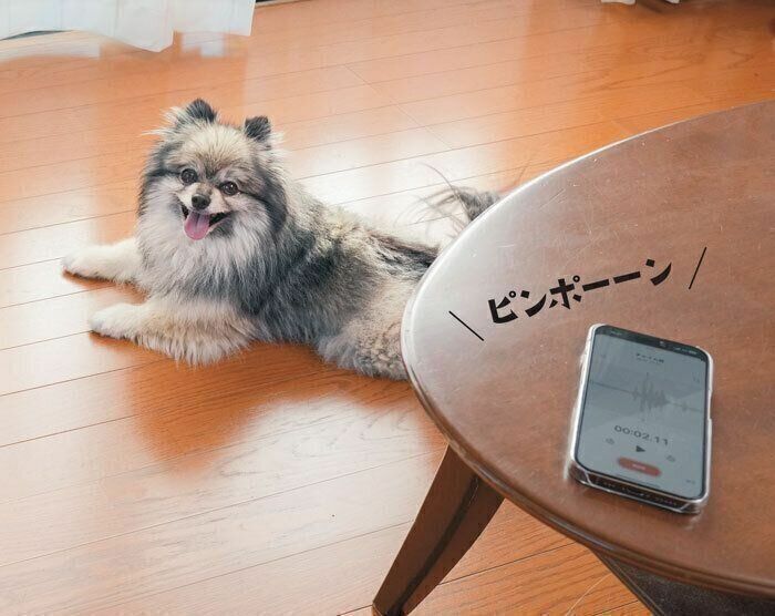 参考・写真／「いぬのきもち」2024年9月号『王道でもダメなら愛犬のタイプ別対策で　今度こそ！吠えを解決する！』