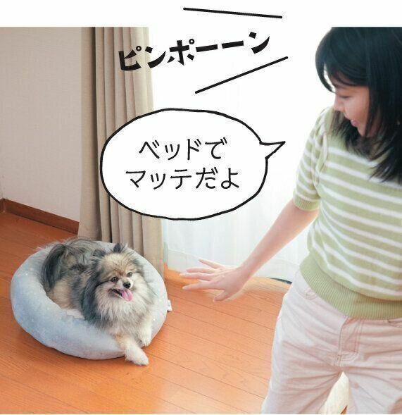 参考・写真／「いぬのきもち」2024年9月号『王道でもダメなら愛犬のタイプ別対策で　今度こそ！吠えを解決する！』