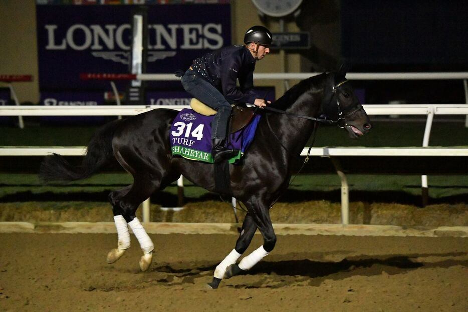 シャフリヤール＝現地1日、米デルマー競馬場、撮影Katsumi.Saito