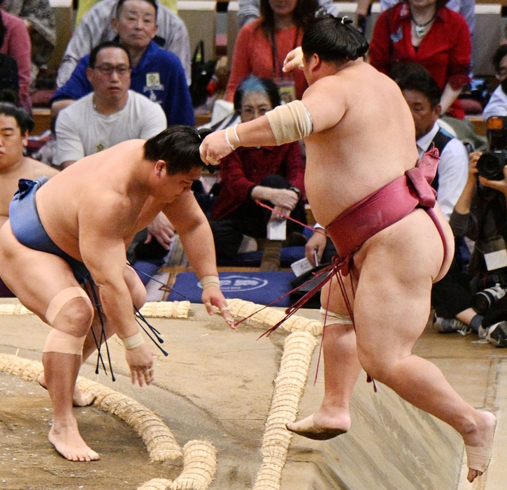 若隆景（左）は押し出しで大栄翔を破る（撮影・菊地俊哉）