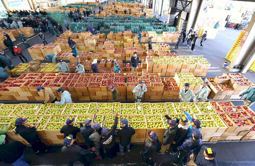 収穫が最盛期を迎え、競りに出されたリンゴがずらりと並ぶ市場（４日午前、青森県弘前市で）＝永井秀典撮影