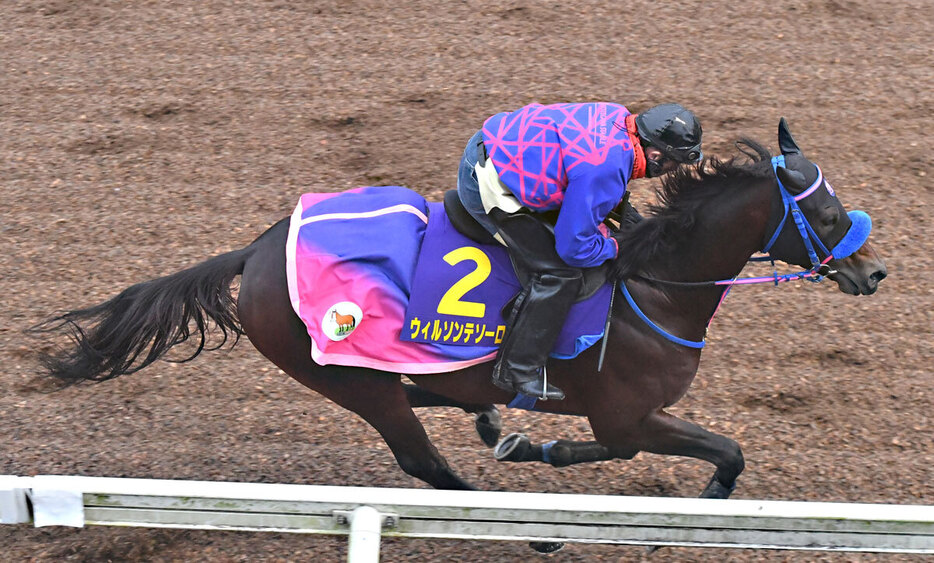 昨年２着から今年は頂点を狙うウィルソンテソーロ