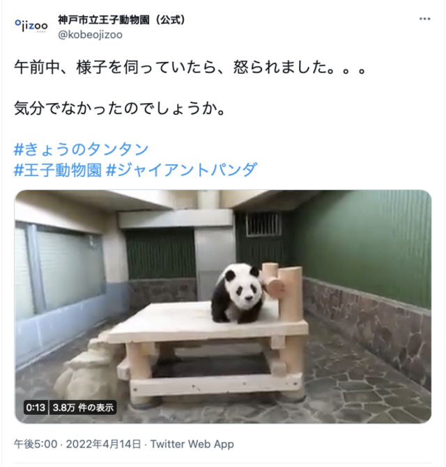 「こっち来ないで！フンフン！」　神戸市立王子動物園ツイッターより