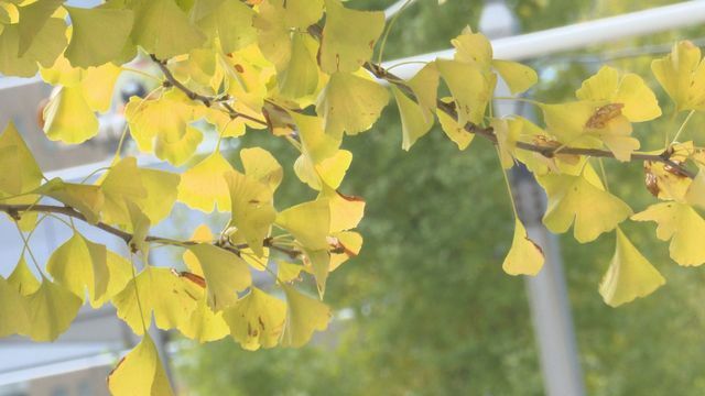 TeNYテレビ新潟