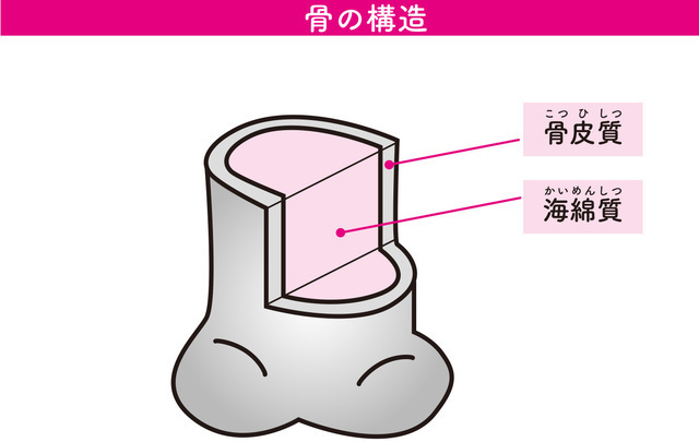 写真:現代ビジネス