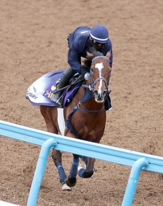 ソールオリエンス＝美浦トレセン（撮影・塩浦孝明）