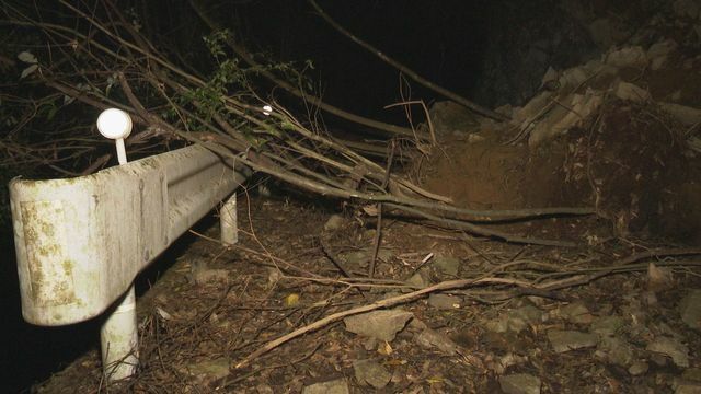 男性の遺体が発見された人吉市の山中(25日)