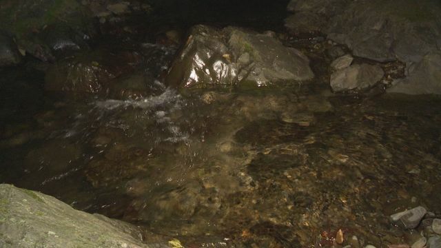 男性の遺体が発見された馬氷川(25日・人吉市)