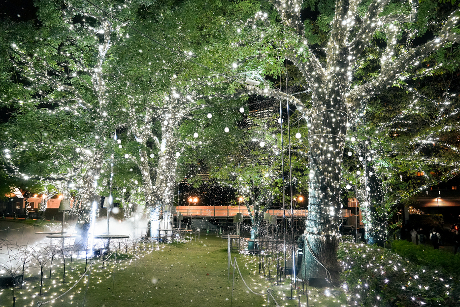 ホワイトの光とミストの演出で、幻想的な雪景色を思わせるエリア。今年は新たに期間限定で雪が降る演出も