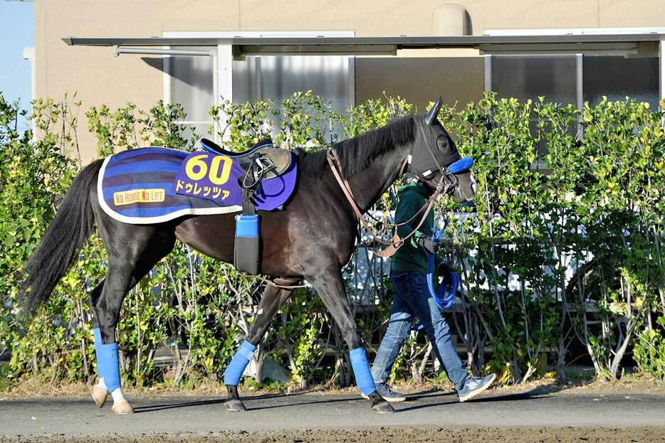 昨年の菊花賞馬ドゥレッツァは６枠１０番