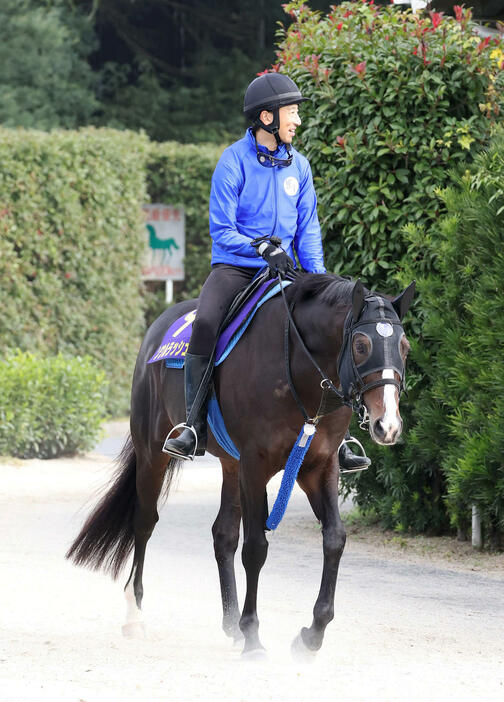 14日、厩舎周りで運動するソウルラッシュ