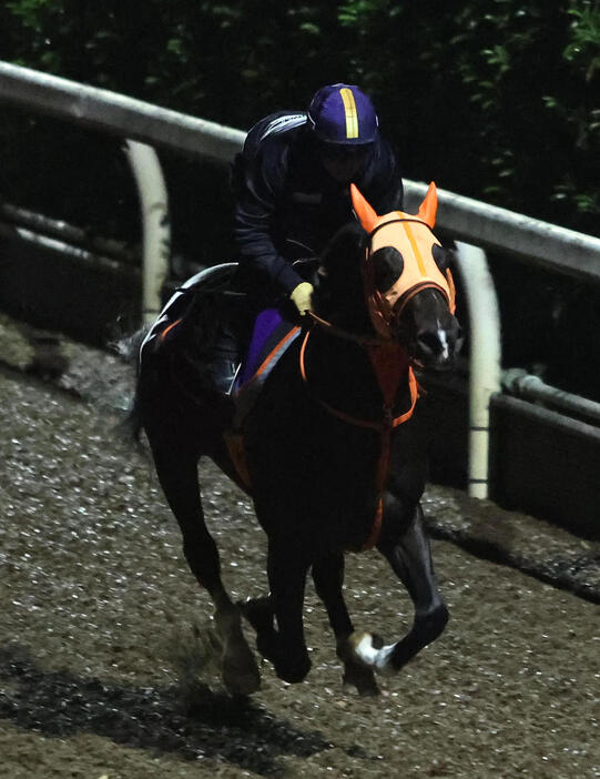 川田騎手を背に坂路を単走で追い切るジャンタルマンタル（撮影・白石智彦）