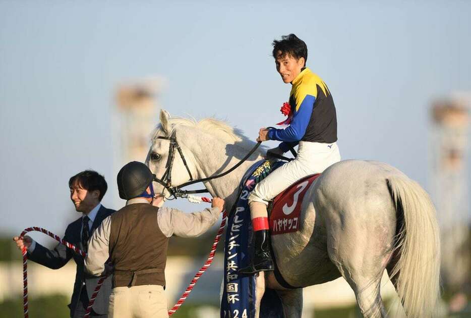 アルゼンチン共和国杯を勝ったハヤヤッコ＝3日、東京競馬場（撮影・奈良武）