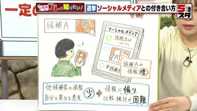 他候補者の情報や自分と異なる意見が少なくなり、情報に偏りが出る