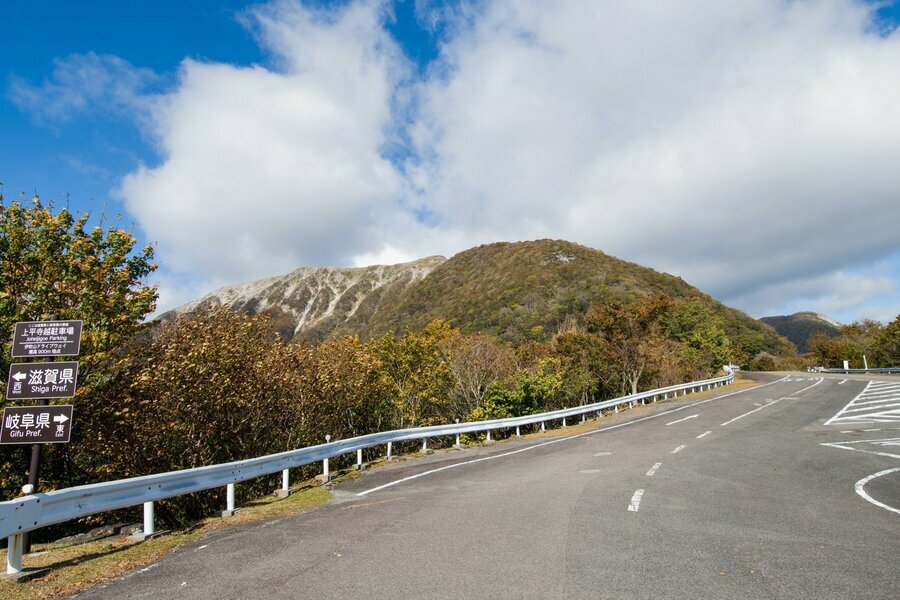 今週撮影、遅れ気味だった伊吹山の紅葉もようやく見頃となる