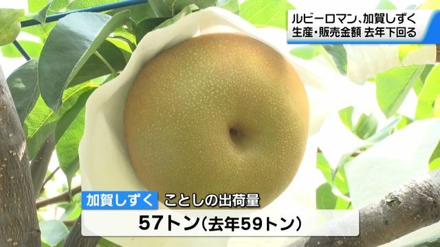 テレビ金沢NEWS