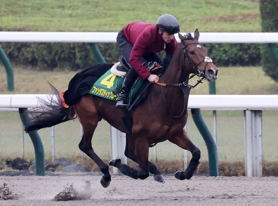 ピーヒュレク騎手を背に東京競馬場ダートで調整するファンタスティックムーン（撮影・鈴木正人）